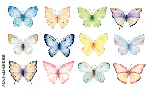 Watercolor set of bright hand painted butterflies.