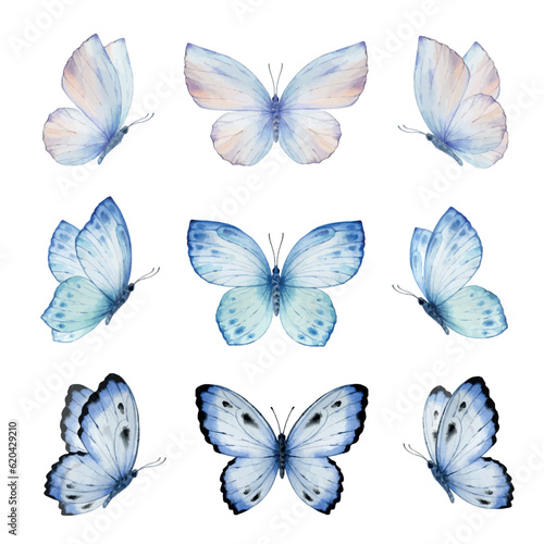 Watercolor set of bright blue vector hand painted butterflies.