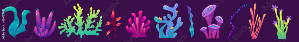 Fototapeta premium Coral reef underwater set with algae. Seaweed ocean plant. Coral set undersea fauna. Cartoon Reef isolated. Cartoon Vector design.