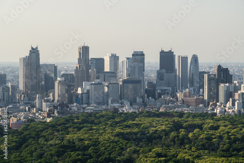 Tokyo, Japan: Aerial view of Shinjuku skyline rising above the Yoyogi park in Tokyo in Japan capital city. photo