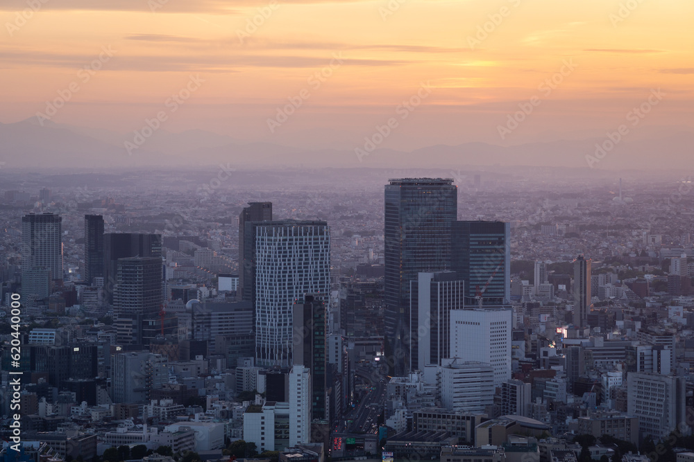 Sunset over Shibuya business district skyline in Tokyo, Japan capital city