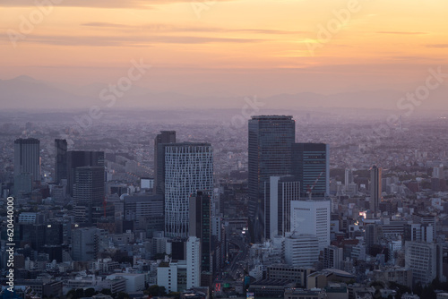 Sunset over Shibuya business district skyline in Tokyo, Japan capital city