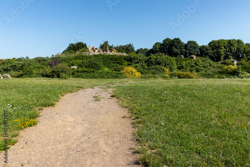 Summer landscape of the park. Beautiful landscape.