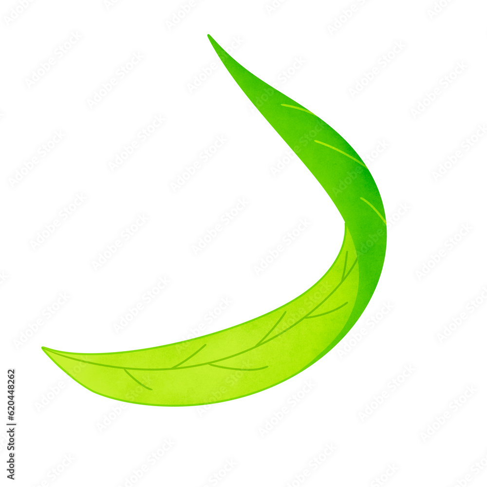 Leaf Leaf