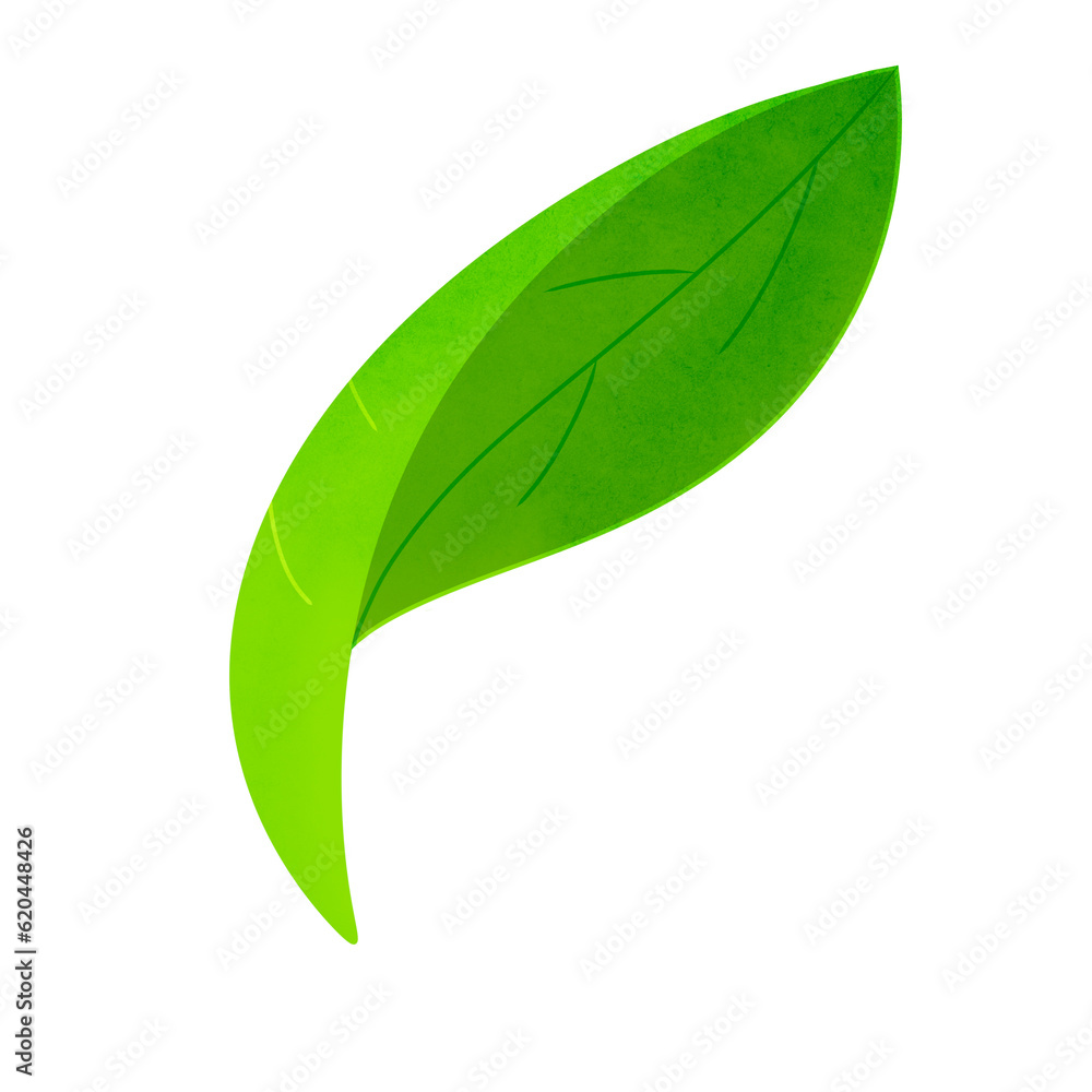 Leaf Leaf