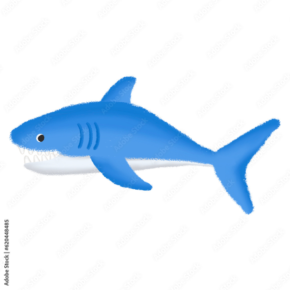 Fototapeta premium Shark in the sea