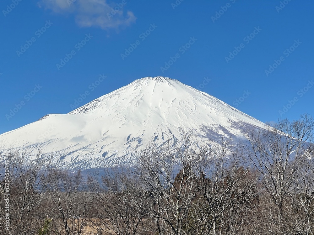 Obraz premium Mount Fuji 富士山 