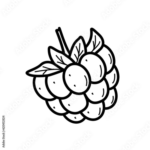Summer sweet berry raspberry doodle icon. Vector illustration single sketch isolate on white.