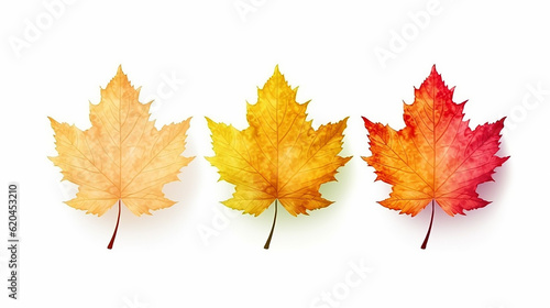 Realistic autumn yellow red orange leaves isolated on white background. Generative AI