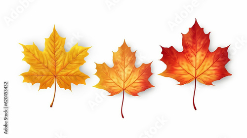 Set of realistic autumn yellow red orange leaves isolated on white background. Generative AI