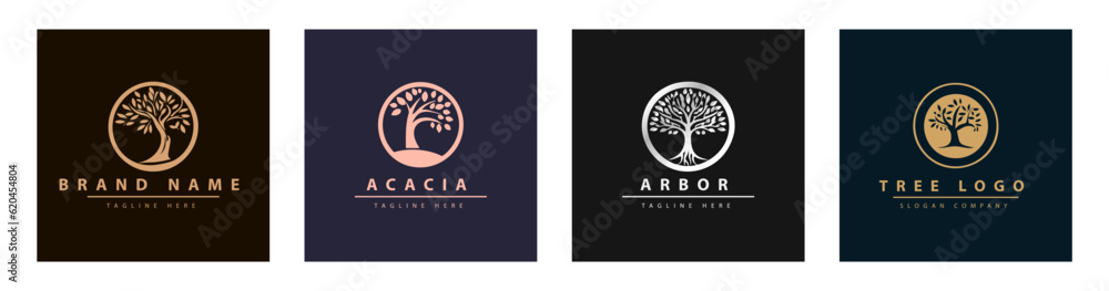 Tree vector icon. Logo design Premium Vector. Botanical plant nature symbol. Nature trees illustration logo design vector illustration. Tree vector icon. Logo design Premium Vector. Botanical plant nature symbol. Nature trees illustration logo design vector illustration.