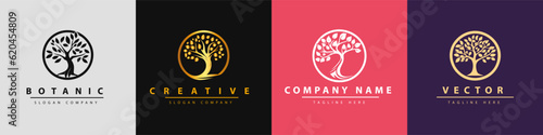 Tree vector icon. Logo design Premium Vector. Botanical plant nature symbol. Nature trees illustration logo design vector illustration.