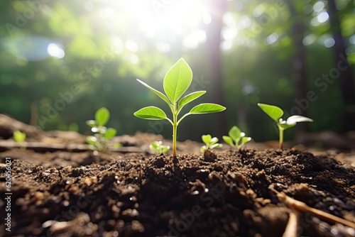 Global Goal of Eco-Friendly for the Environmental Crisis.