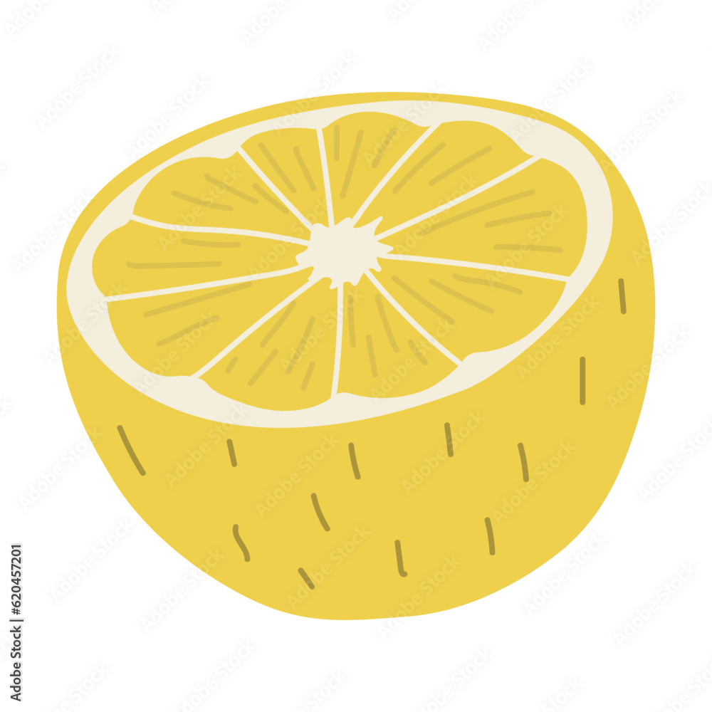 Lemon Single 9, vector illustration Lemon Single 9, vector illustration