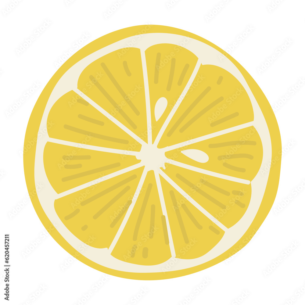 Lemon Single 11, vector illustration Lemon Single 11, vector illustration