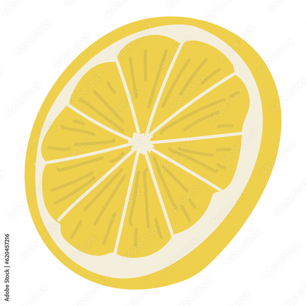Lemon Single 12, vector illustration Lemon Single 12, vector illustration