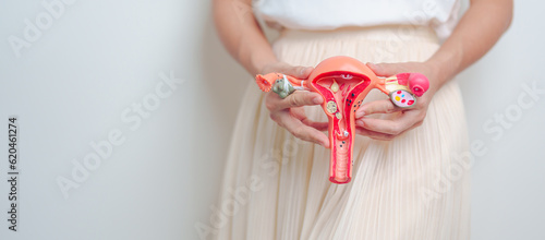 Fényképezés Woman holding Uterus and Ovaries model