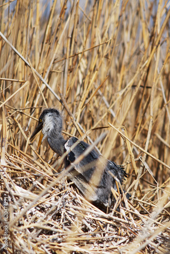2023.05.01. Tourist in Shahu lake, Yinchuan, Ningxia Hui Autonomous Region.
