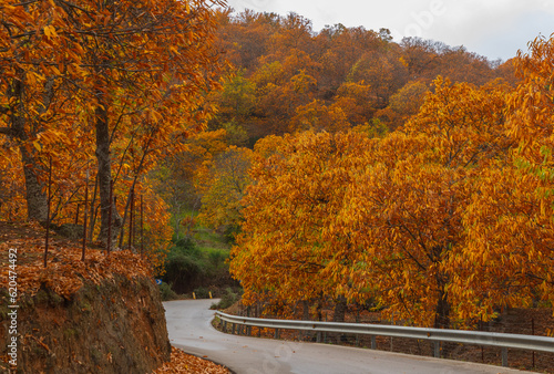 Otoño en Málaga