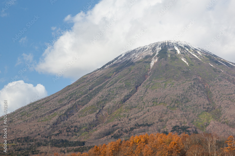 Autumn scene in Hokkaido
