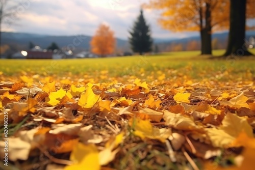 Autumn park landscape