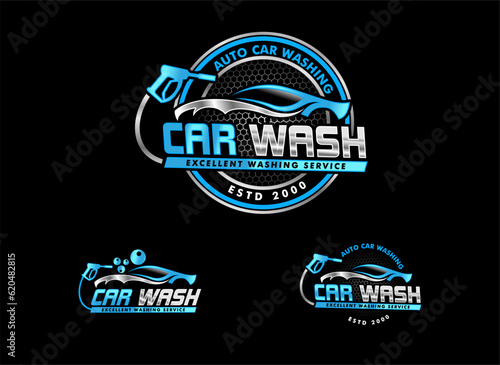 Illustration vector graphic of auto detailing servis logo design template