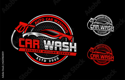 Illustration vector graphic of auto detailing and car wash servis logo design template