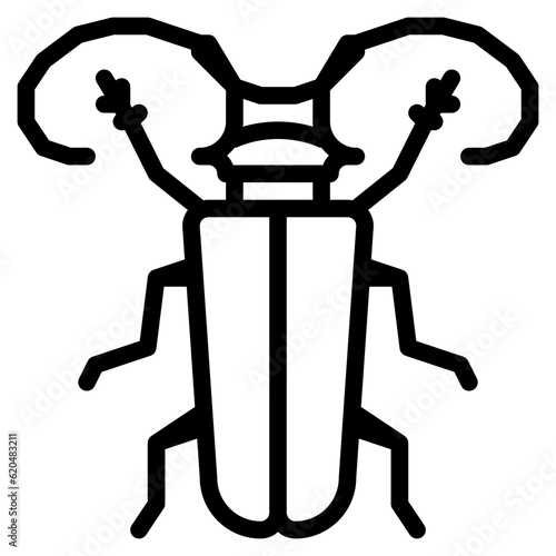 longhorn beetle bug insect animal