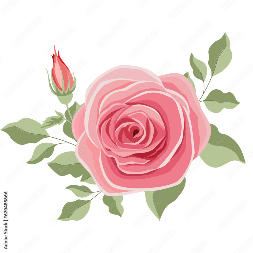 Rose pink vector for decoration , wedding card , innovation Rose pink vector for decoration , wedding card , innovation
