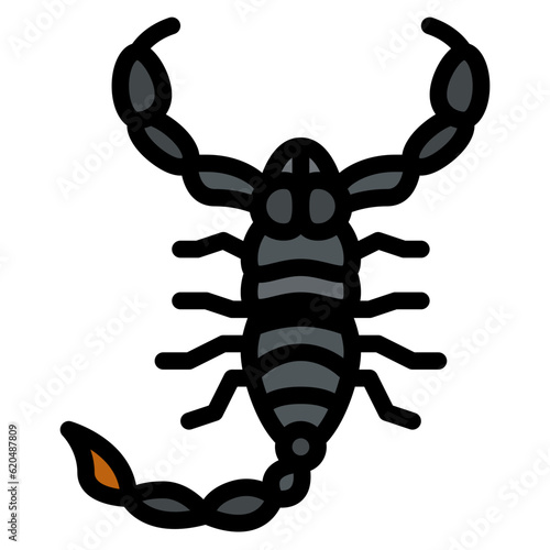 scorpion bug insect animal