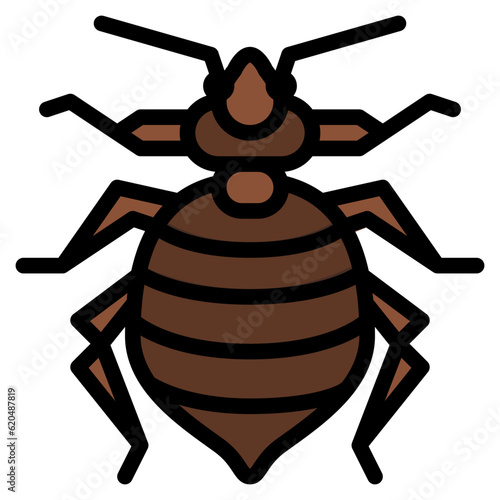 bedbug bug insect animal