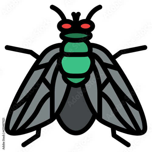fly bug insect animal