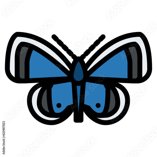 eastern bug insect animal