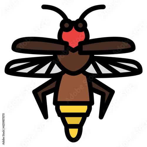 firefly bug insect animal