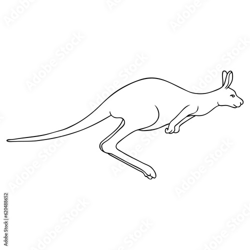 kangaroo outline vector illustration