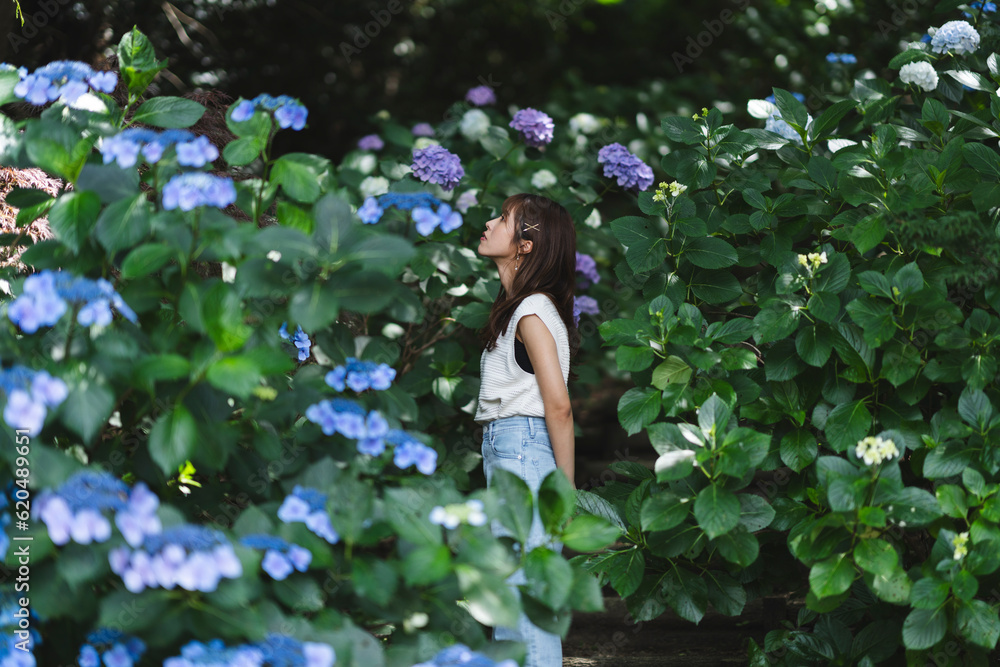 紫陽花と女性 紫陽花と女性
