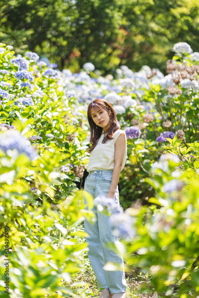 紫陽花と女性 紫陽花と女性