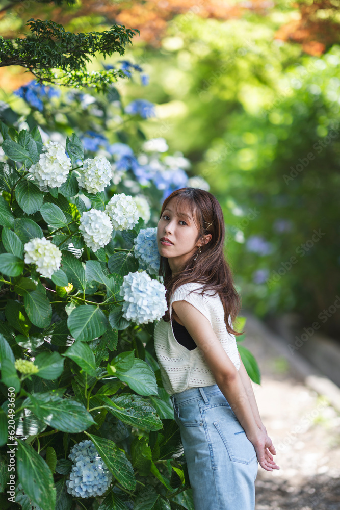紫陽花と女性 紫陽花と女性