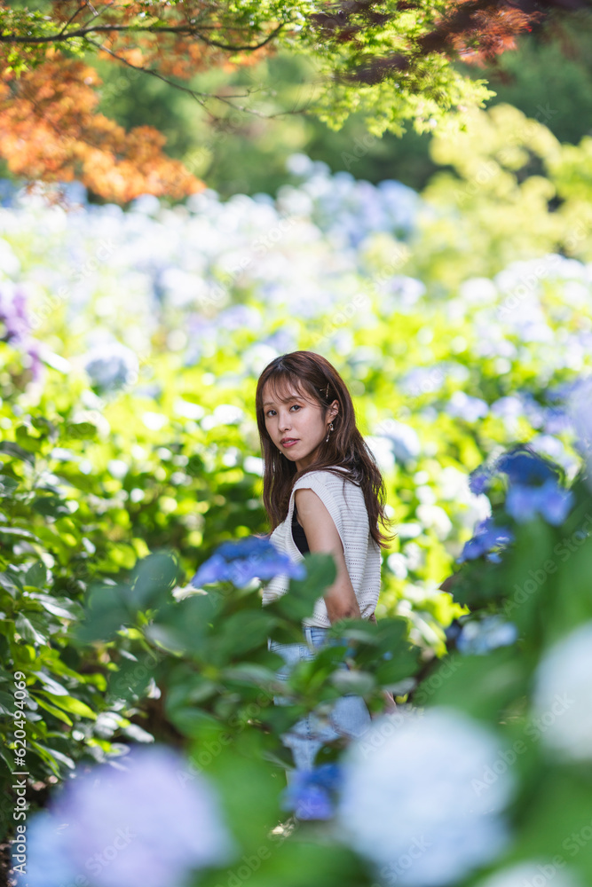紫陽花と女性 紫陽花と女性