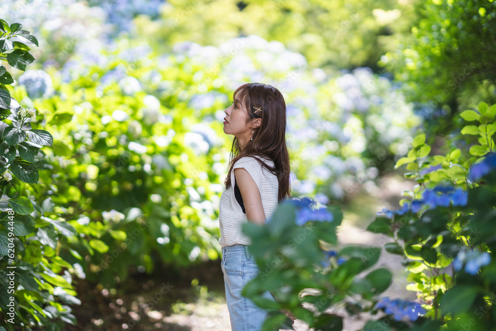紫陽花と女性 紫陽花と女性