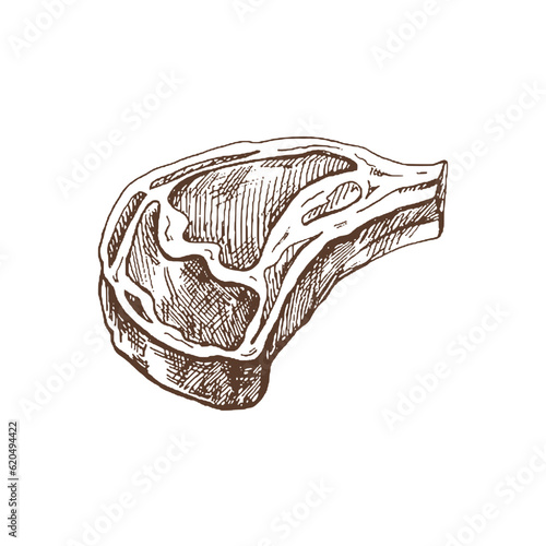 Organic food. Hand drawn vector sketch  of  beef steak, piece of meat.  Doodle vintage illustration. Decorations for the menu of cafes and labels. Engraved immage.