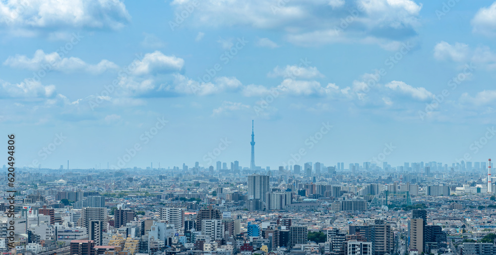 都市風景　スカイツリーと東京のビル群　埼玉より東京方面を望む