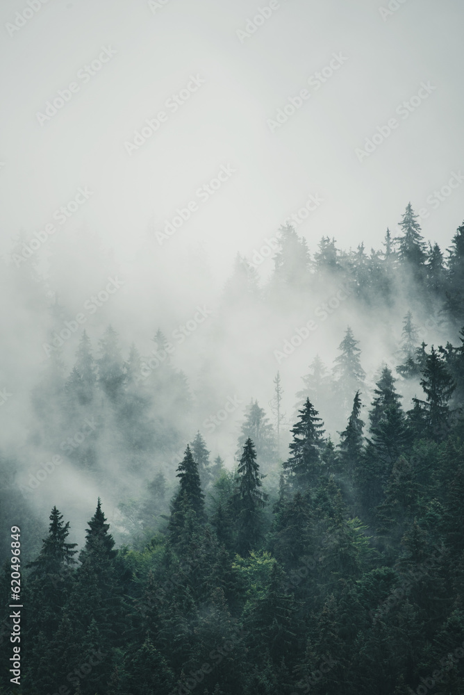 Fototapeta premium Misty mountain landscape