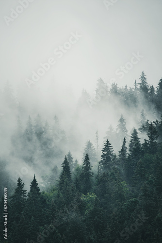 misty-mountain-landscape