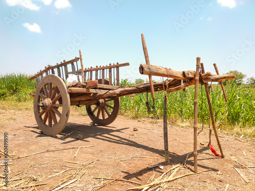 Bullock cart on the farm Bullock cart in an Indian village