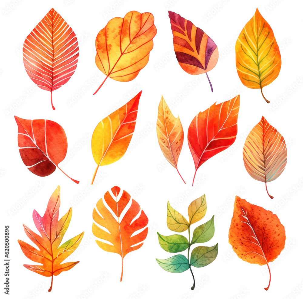 Obraz premium Vibrant fall foliage, collection of autumn leaves isolated on white, illustration in watercolor style
