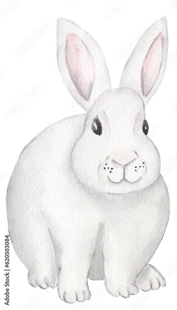 Cute watercolor bunny clipart, beautiful rabbit clip art. Hand drawing animal illustration Cute watercolor bunny clipart, beautiful rabbit clip art. Hand drawing animal illustration