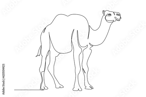 camel animal mammal full body length one single line art