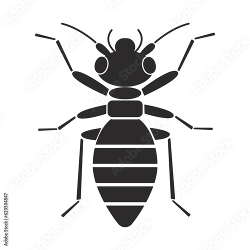 Insect order psocoptera Barklice geometric icon vector illustration photo