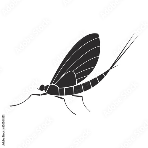 Insects order ephemeroptera mayfly  geometric icon illustration